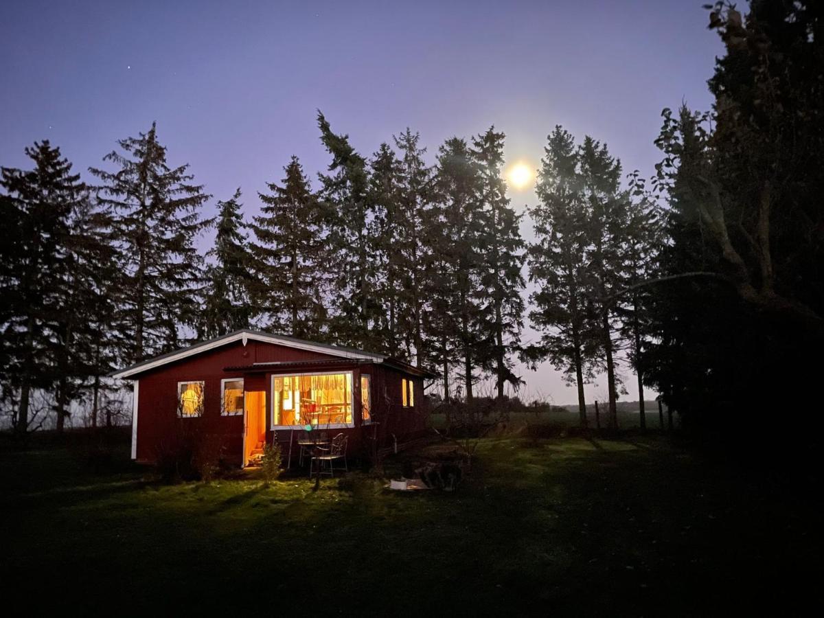 Landhaus Mit Pool, Bungalow In Der Natur Hohenbollentin Екстер'єр фото